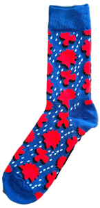 Sloth Sox- Blue Rain Socks