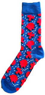 Sloth Sox- Blue Rain Socks