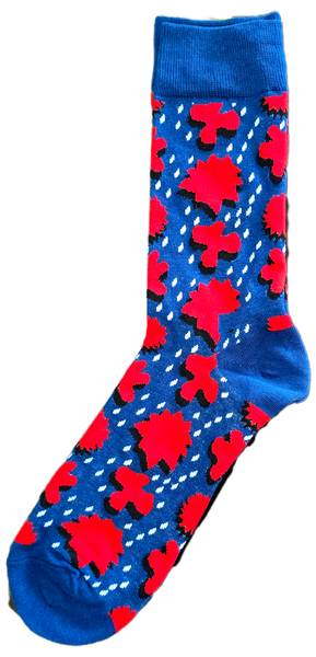 Sloth Sox- Blue Rain Socks