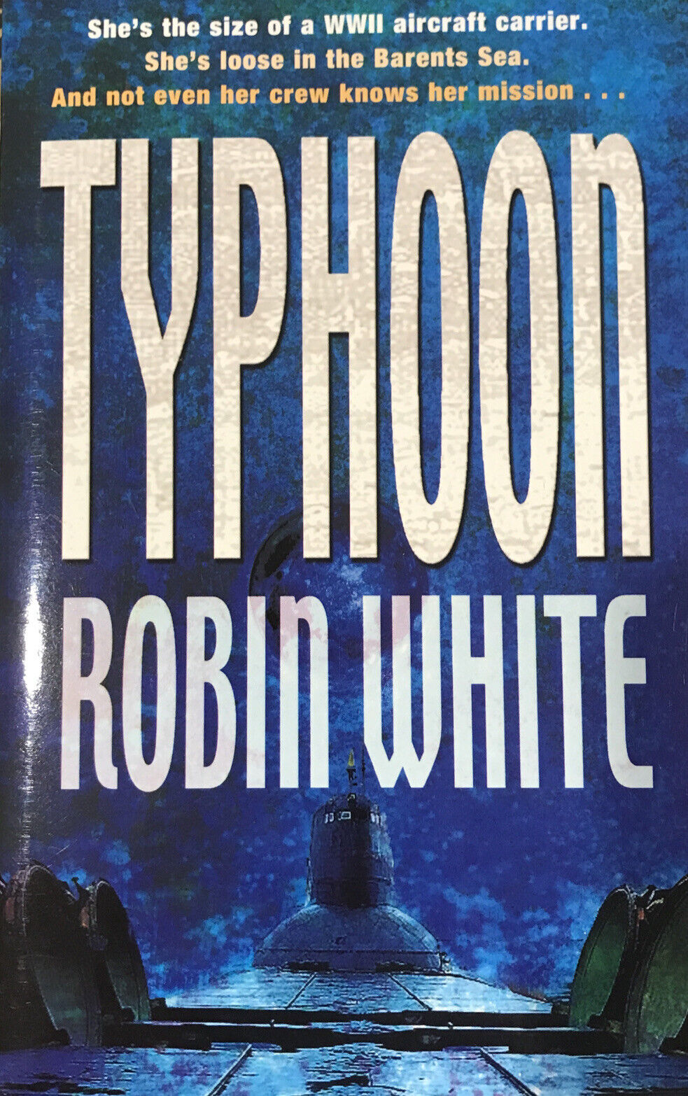 Typhoon by Robin White