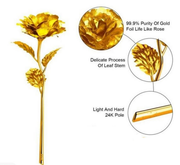 24K Gold Rose