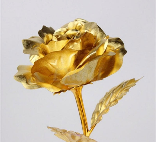 24K Gold Rose