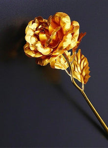 24K Gold Rose