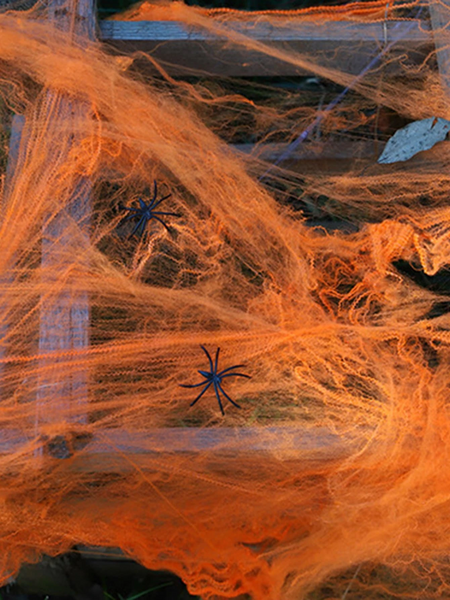 Spider Web Deco